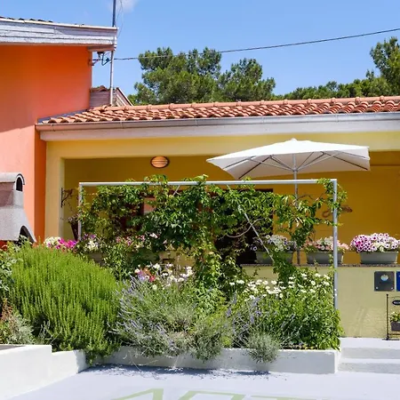 By The Sea Artatore, Losinj - 7952 * Čunski